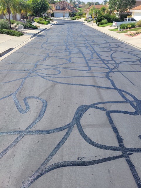 Crack Filled Road